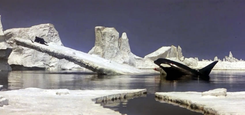 Arlequin: Critica: Orca, la Ballena Asesina (1977)